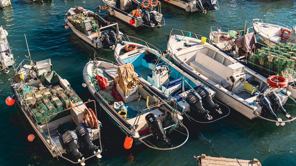 a group of boats are docked in the water