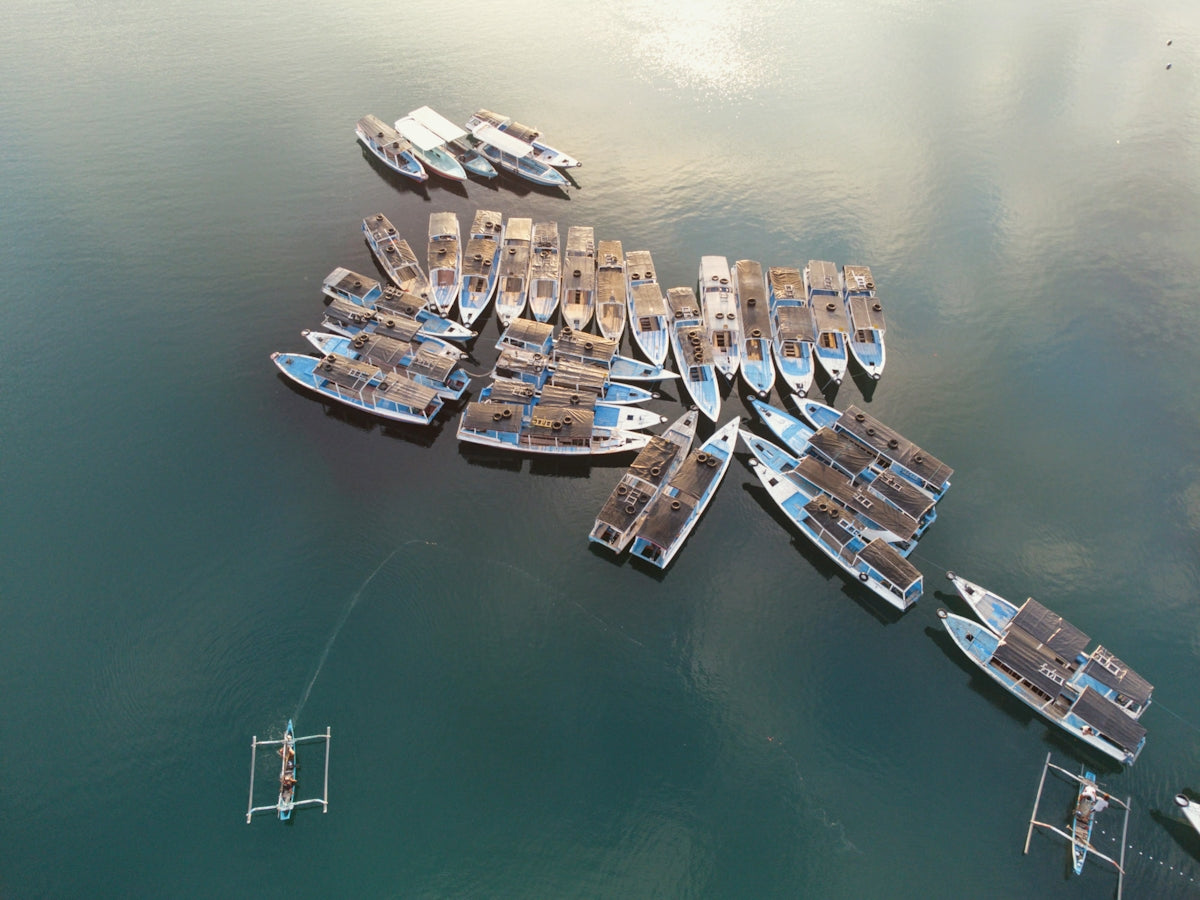 a bunch of boats are docked in the water