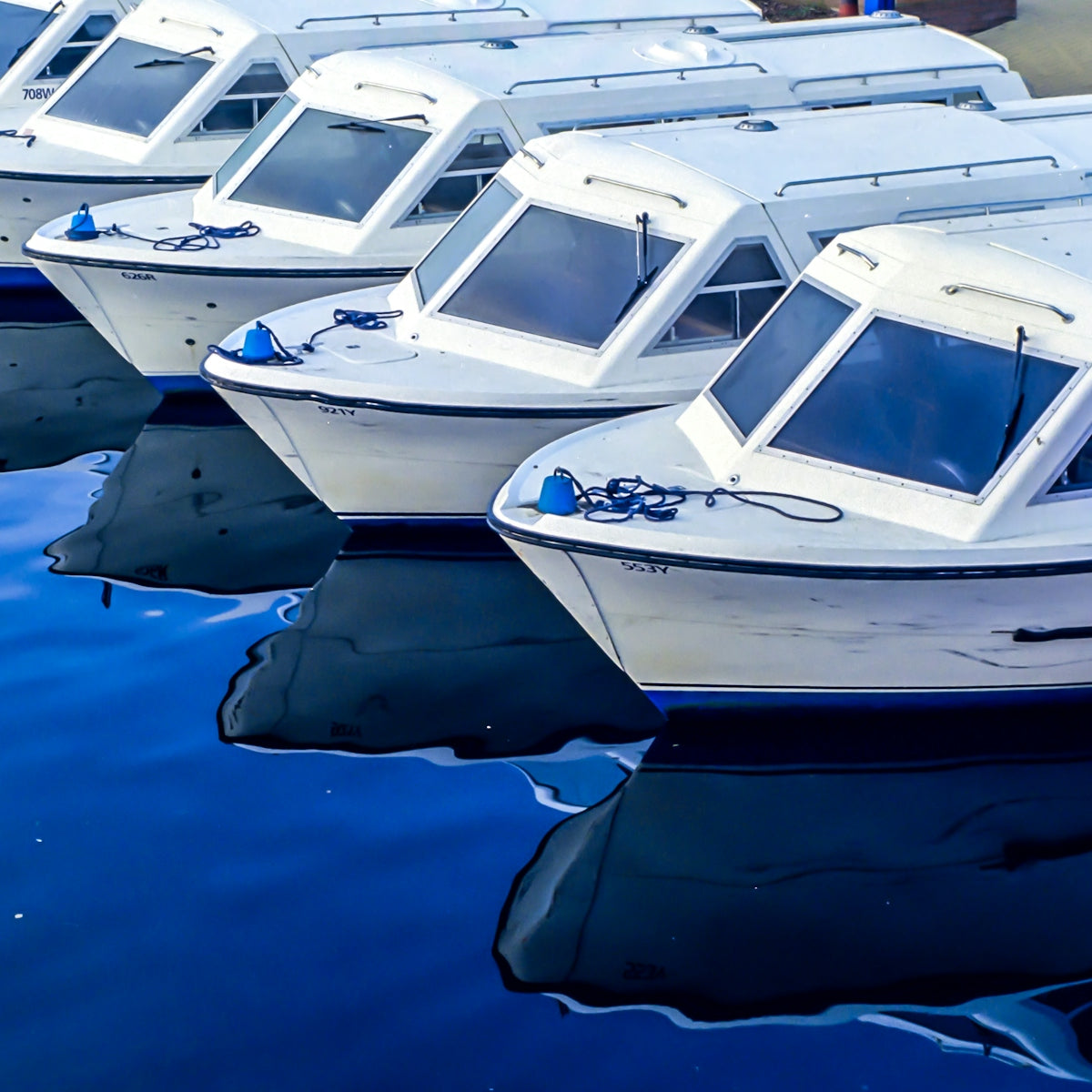 White boats docked in a row on dark blue water
