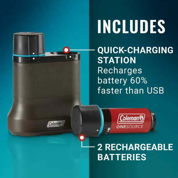 OneSource™ Rechargeable 2-Port Battery Charging Station