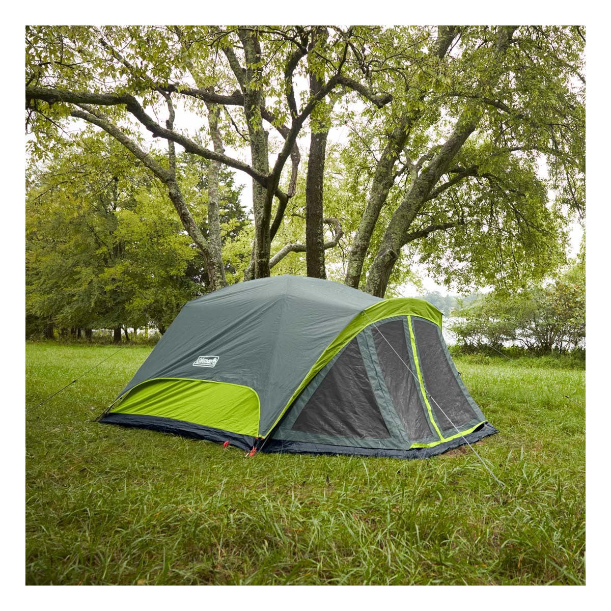 Coleman 6 Person Skydome Camping Tent With Screen Room - Boatyard Malaysia