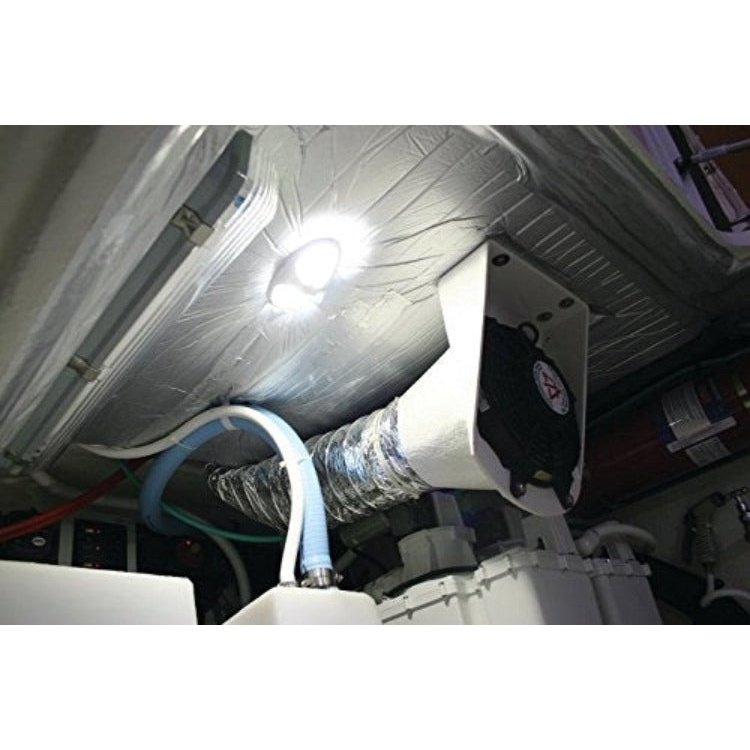 DuraLED 12 Interior/Exterior Lamp - Warm White LED - White Housing