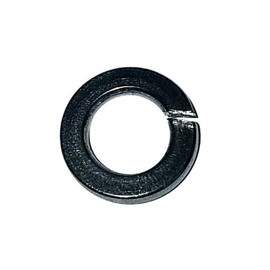 Maxwell Washer Spring 6mm 304 Stainless Steel