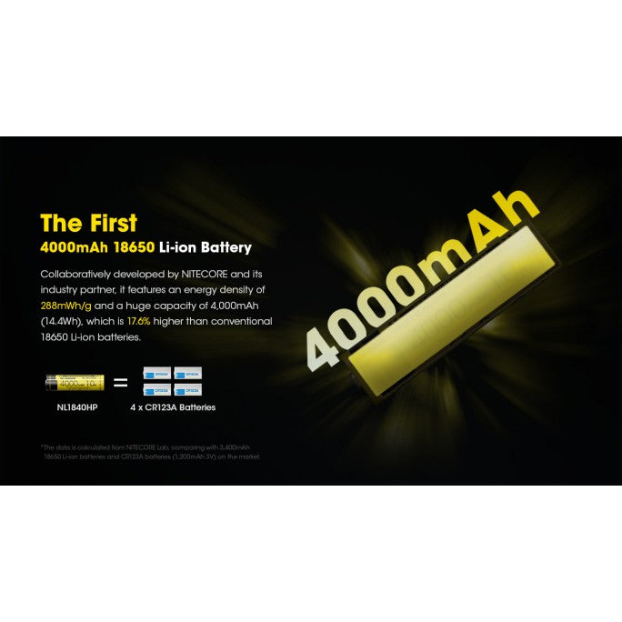 18650 4000mah 10A Battery NL1840HP boatyardmalaysia