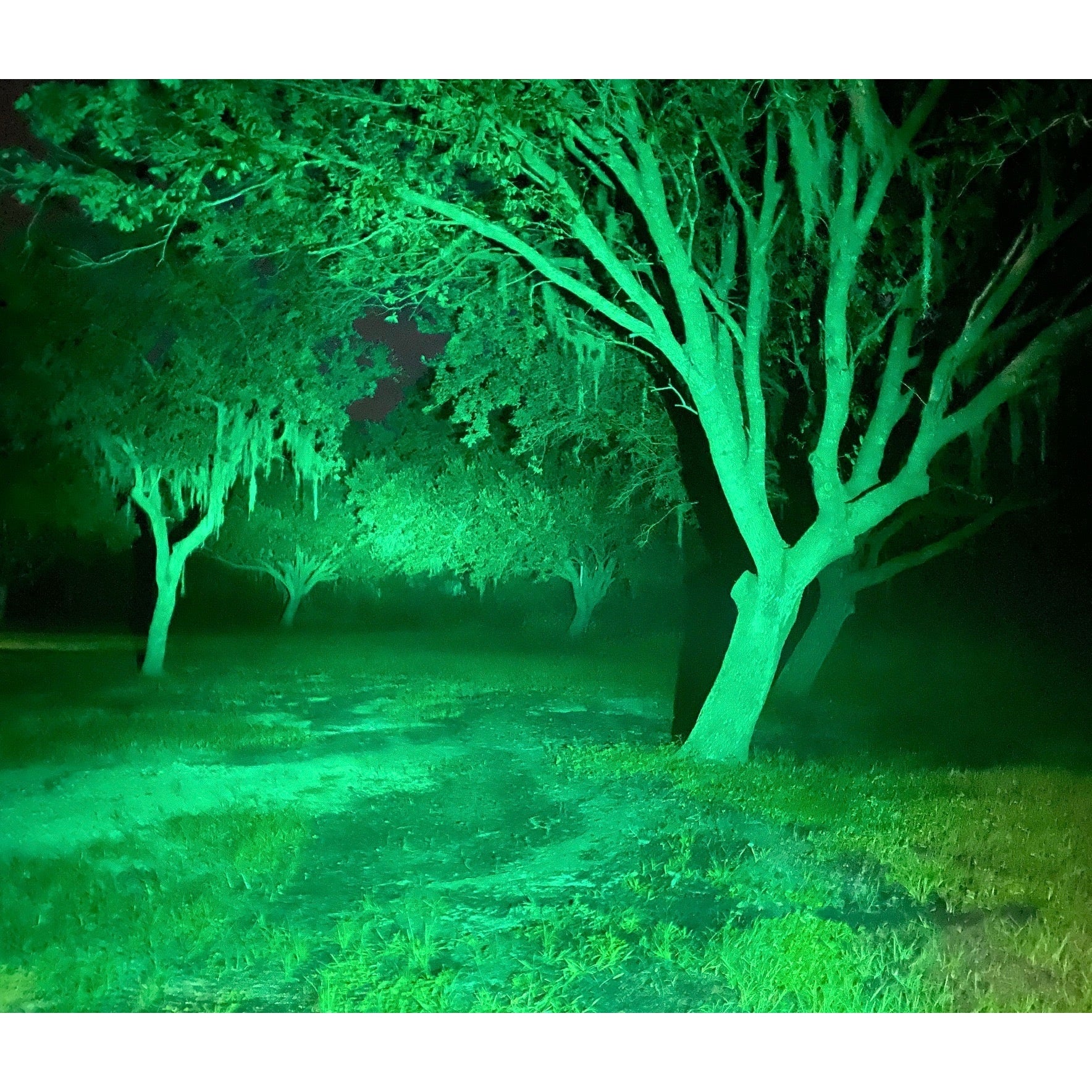 Black Oak 2" Hog Hunting Green Led Pod Light boatyardmalaysia