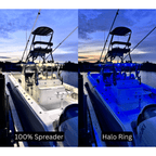 Black Oak Low Pro Flush White Housing Led boatyardmalaysia