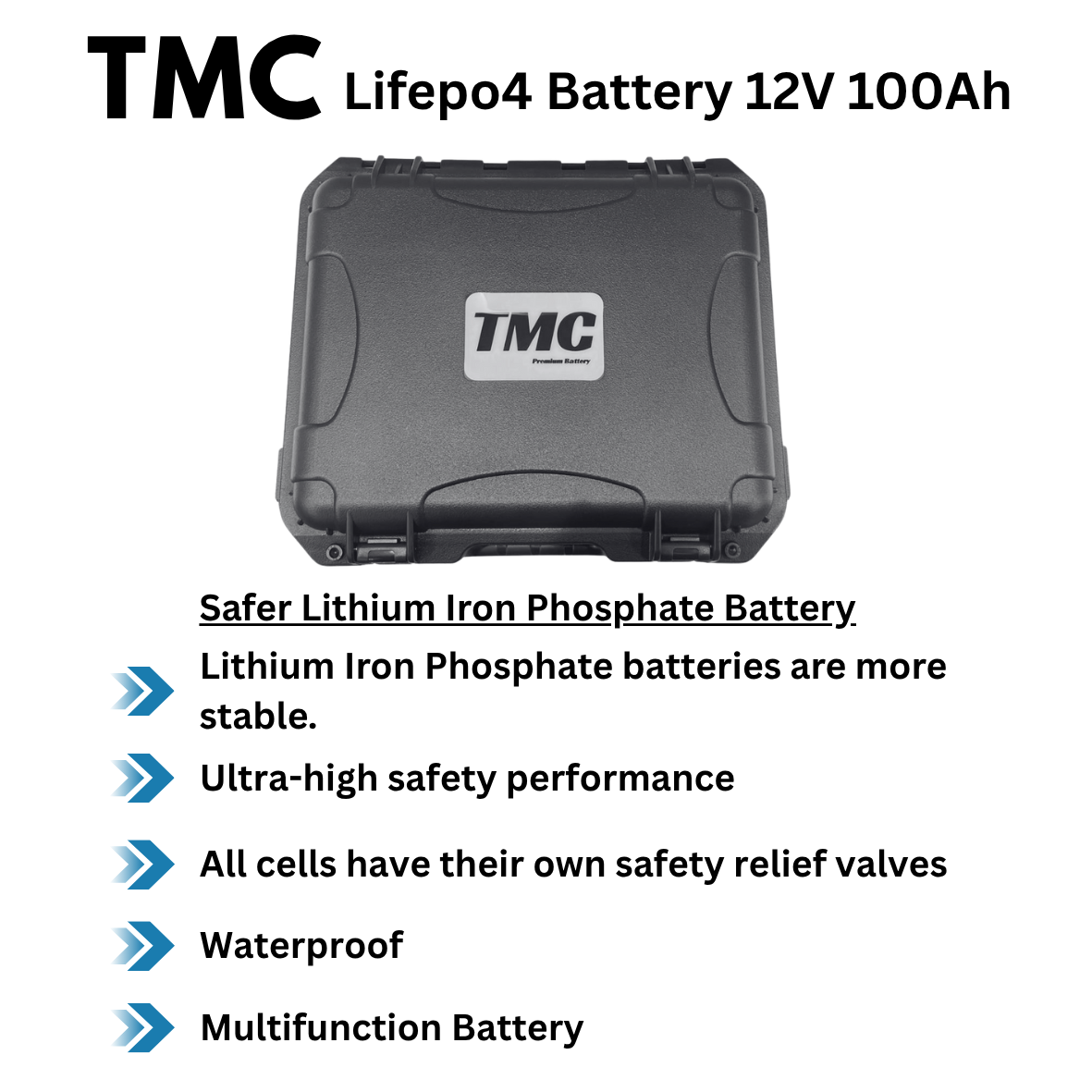 TMC LIFEPO 4 Lithium Ion Battery 100AH 12V - Boatyard Malaysia