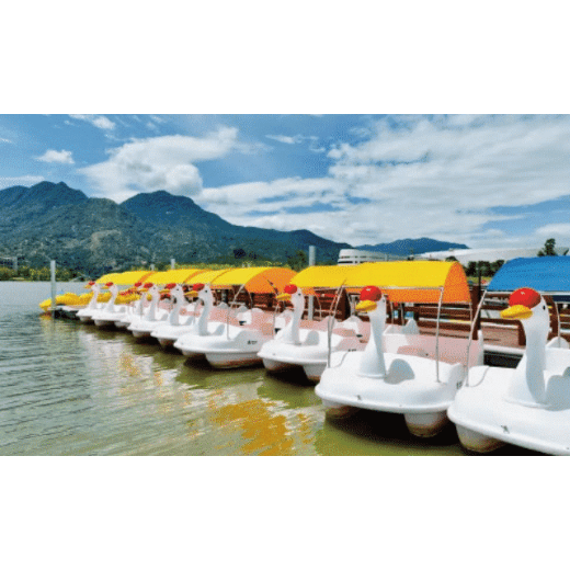 Pelangi White Swan Leisure Boat - Boatyard Malaysia