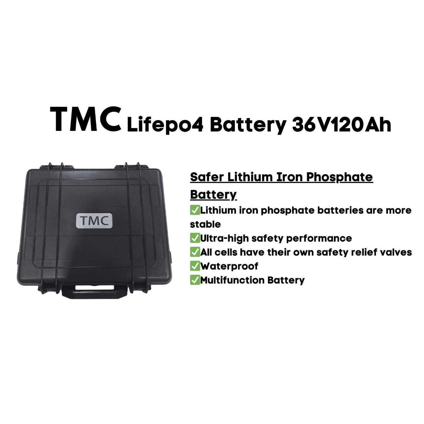 LIFEPO 4 Lithium Ion Battery 120 AH 36V boatyardmalaysia