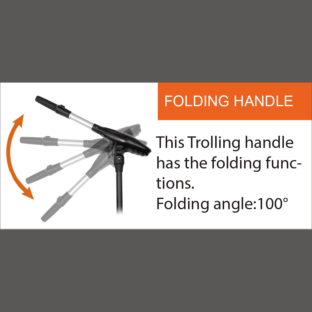 Haswing Protruar G Brushless with Gear Box - Boatyard Malaysia