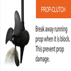 Haswing Protruar G Brushless with Gear Box - Boatyard Malaysia