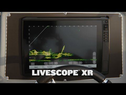 LiveScope™ XR