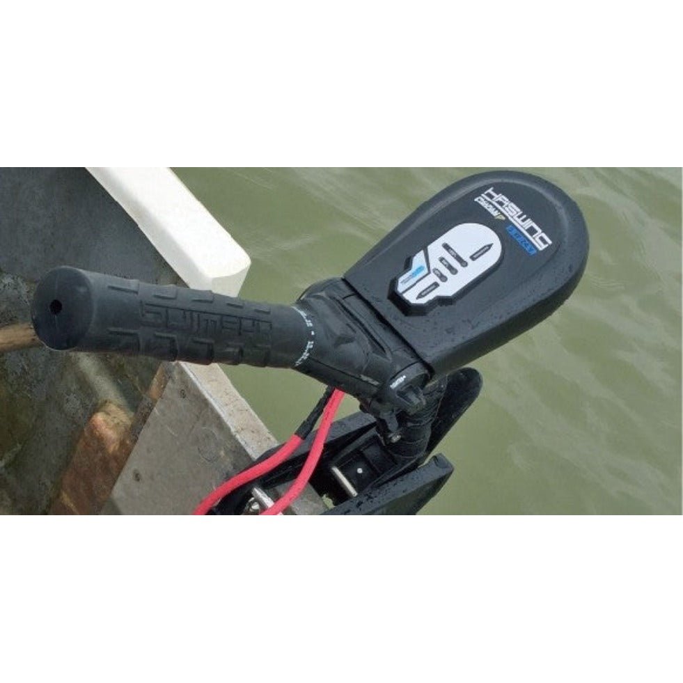 Haswing Protruar 1.0 Brushless Motor - Boatyard Malaysia