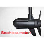 Haswing Protruar 1.0 Brushless Motor - Boatyard Malaysia