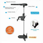 Haswing Protruar 5.0 Brushless High Performance Motor - Boatyard Malaysia