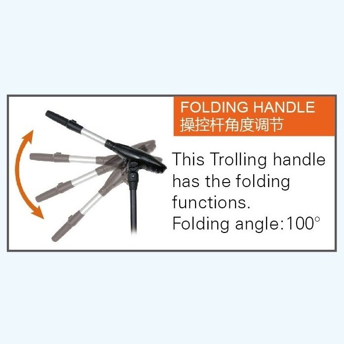 Haswing Protruar G 4.0 Brushless with Gear Box - Boatyard Malaysia